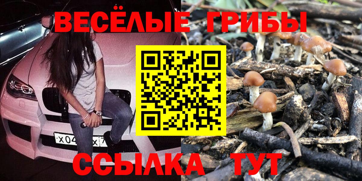 Галлюциногенные грибы GOLDEN TEACHER Белорецк