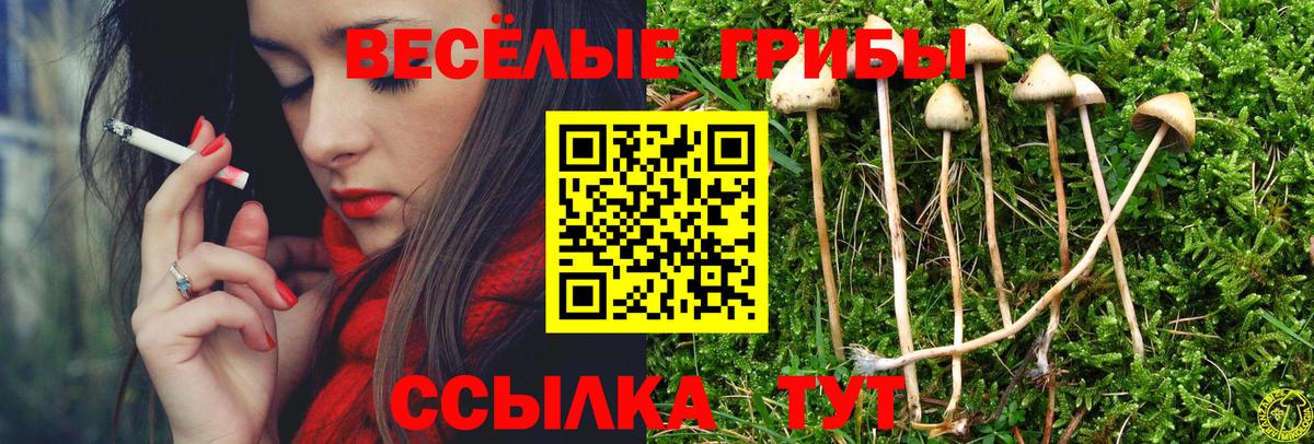 Псилоцибиновые грибы мухоморы  Вход с VPN  Белорецк  Псилоцибиновые грибы прущие грибы 